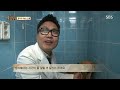 충격의 개농장 지옥서 벗어난 ‘황구’ i tv동물농장 animal farm sbs story