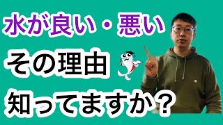 【水が悪いって何?】飼育水における良し悪しの原因と解決策