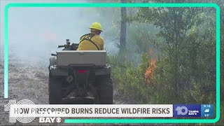 How prescribed burns reduce wildfire risks