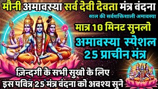 सौ प्रतिशत काम करेगा साक्षात नारायण 25 मंत्र, अपार कृपा प्राप्त होगी VISHNU NARAYAN AMAVASYA MANTRA