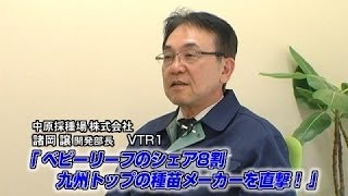 【中原採種場（1） 】ベビーリーフのシェア８割 九州トップの種苗メーカーを直撃！