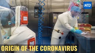 The Origin of the Coronavirus | NTDTV
