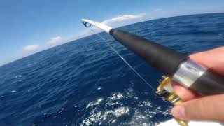 Amberjack Wreck Fishing