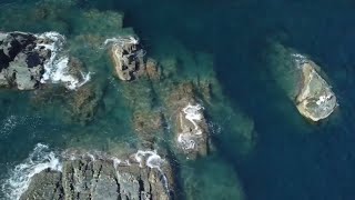 沼島の磯　ヤカタ　クジラ　五合　空撮　海底地形