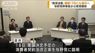 旧統一教会被害者“救済法案”　新法の概要提示へ(2022年11月16日)