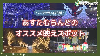 ＼これを見れば完璧／あすたむらんどのオススメ映えスポット