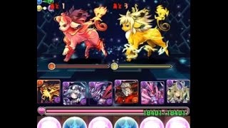 パズドラ【星宝の遺跡・輝望の道】覚醒ヒノカグツチ×パンドラPT　ノーコン！攻略