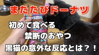 【またたび】初めてまたたびドーナツを食べた黒猫の反応が予想外！？