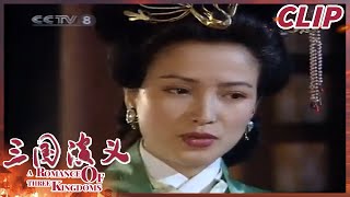 诸葛亮出主意 周瑜来定夺？其实孙权决心已定！《三国演义》第三十一集【CCTV电视剧】