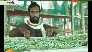 Peekpani | Parbhani | Moving To Farming After Completing His Engineering By Silkworm Farming