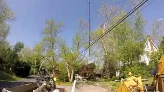 Dismantling a Sycamore (HD version)