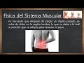 biofisica del sistema muscular