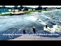 the flood situation in russia is critical 10 bridges destroyed and a dam washed away