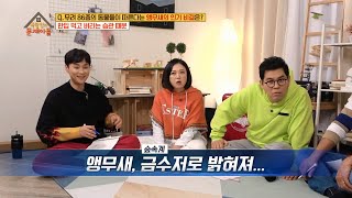 앵무새.. 알고 보니 숲속계의 금수저! [옥탑방의 문제아들/Problem Child in House] 20200203