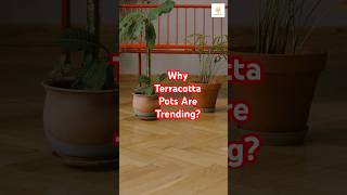 Most Interesting Facts About Terracotta Pots! #shorts