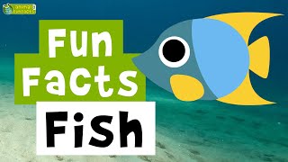 Fish 🐟 🐠 🐡 - Cartoon Fun Facts - Animals for Kids - Educational Video