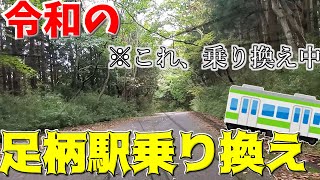 【過酷】峠を越える乗り換え、「足柄駅乗り換え」に挑戦してみた結果...【徒歩旅】