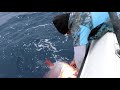 Opah fishing in San Diego