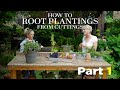 🌱 HOW TO PROPAGATE Plants from Cuttings Part 1🌱 | Linda Vater