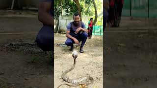 ஒரு போட்டோ அப்படியே நில்லு #shorts #reels #photo #snake