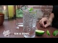 Gin & Sonic