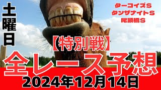 【特別戦全レース予想◎10選】 2024年12月14日土曜日 #ターコイズＳ タンザナイトＳはソンシで、中京のメインレースの尾頭橋Ｓはヘニータイフーンで、第10回ターコイズＳは◎ジューンオレンジ