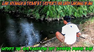 Awalnya Kaget Dan Gak Nyangka Ternyata Tempat Seperti Ini Bisa Jadi Sarang Ikan