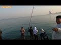 fishing in jumeirah dubai al safuq reels viral trending shorts fishingvlogs