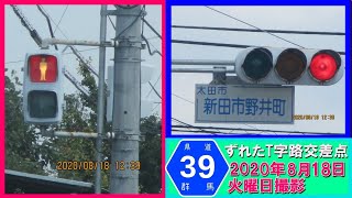 【信号機撮影#84】群馬県太田市新田市野井町　ずれたT字路交差点