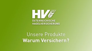 Unsere Produkte: Warum Versichern?