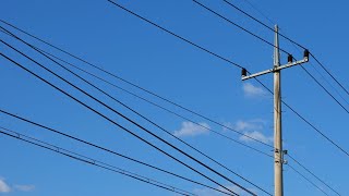 Utilities prepare crews and equipment ahead of potential storm outages