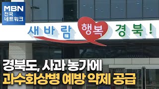 경북도, 사과 농가에 과수화상병 예방 약제 공급 [전국네트워크뉴스]