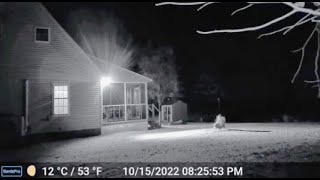 THIS IS THE MOST ALARMING FOOTAGE EVER CAPTURED ON A RING CAM!!