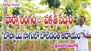 Boppay Natural Farming & Techniques to get high yields || Farmer Srinivas Murthy || 9440591654