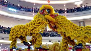 Acrobatic double lion dance by Ampang Kim Ying (雪兰莪安邦金英龙狮体育会) at 1 Utama, Bandar Utama