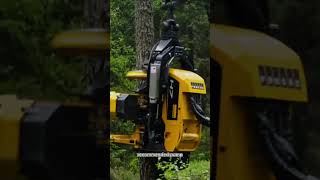 how to knock down a tree with Harvester 1270g#johndeere #machine #love #viral #harvester#tree #top