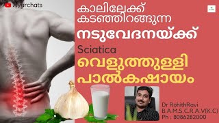 കാലിലേക്ക് കടഞ്ഞിറങ്ങുന്ന നടുവേദനയ്ക്ക് വെളുത്തുള്ളി പാൽകഷായം#garlic#sciaticagarlicmilk#sciatica