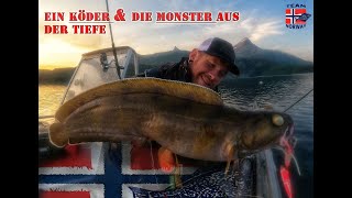 Monster jagt mit dem Inchiku Jig in Norwegen