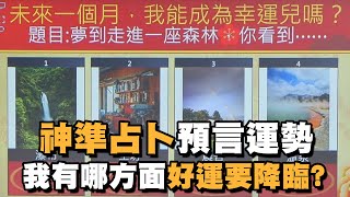 【命運占卜】神準占卜預言未來運勢！我有哪方面好運要降臨？【好能立EX CARE】