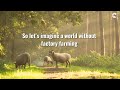 Imagine a world without factory farming