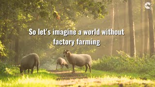 Imagine a world without factory farming