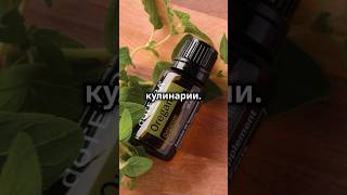 Эфирное масло орегано  Ваш новый кухонный секрет #рецепт