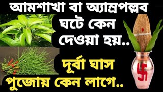 আম্রপল্লব ঘটে কেন দেওয়া হয়। দূর্বা ঘাস পূজোয় কেন লাগে। আমশাখা ও দূর্বা ঘাস পূজায় কেন লাগে।