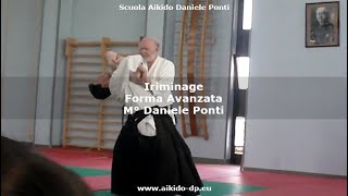 Iriminage Advanced Version (Atemi) - Daniele Ponti Sensei (Direct student Hirokazu Kobayashi Sensei)