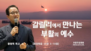 새은혜교회 2023년 4월 9일(주일) 부활절예배