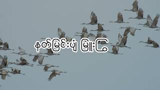 နတ်မြင်းပျံ တေးဆို-မေဆွိ