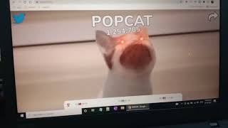 POPCAT 1 million clicks