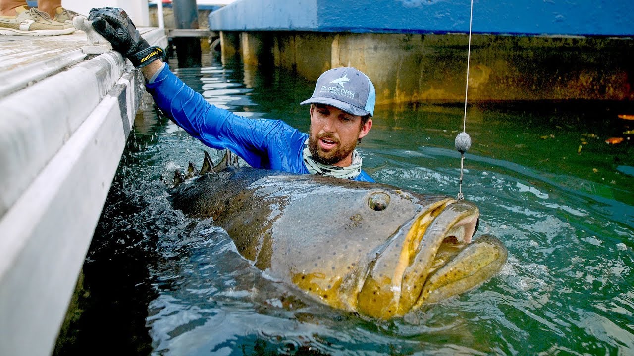 What Is The Biggest Fish In The World? - The Fishing Times | Fishing ...