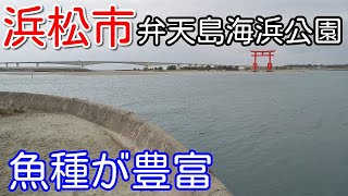 【浜松市】弁天島海浜公園の釣り場ポイントを紹介！魚種も豊富で浜名湖の景色も見れるよ