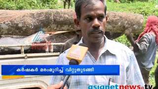 Rubber goes down in market; planters in big crisis | റബ്ബര്‍ വിലയിടിവ്